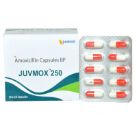 주브목스 JUVMOX 250mg - 100정