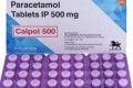 칼폴 500 + ( 파라세타몰 paracetamol 500mg ) - 675정