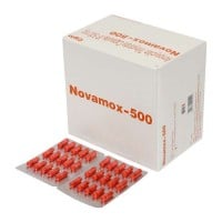 노바목스 NOVAMOX 500mg - 600정