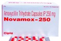 노바목스 NOVAMOX 250mg - 750정