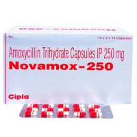 노바목스 NOVAMOX 250mg - 750정